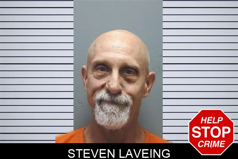 Steven Laveing Mugshots