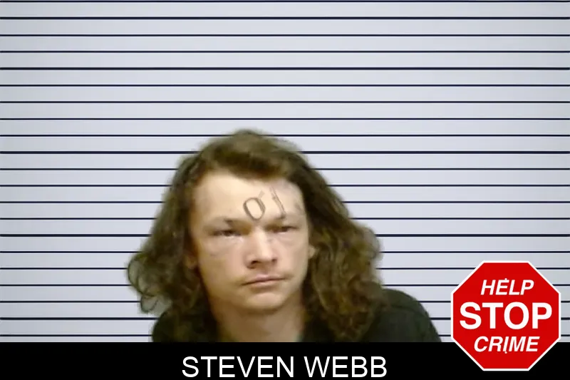 Steven Webb mugshot