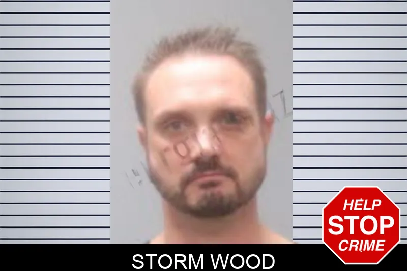 Storm Wood Mugshots