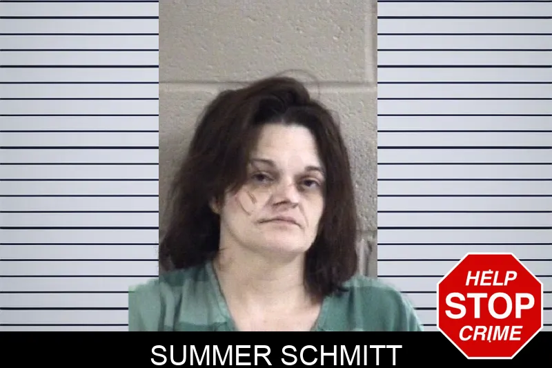 Summer Schmitt Mugshots
