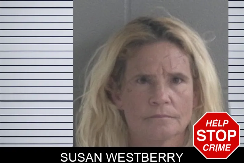 Susan Westberry Mugshots