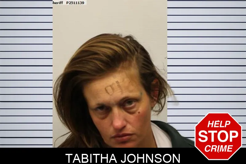 Tabitha Johnson mugshot – Chatham County , Georgia Tabitha Johnson mugshot