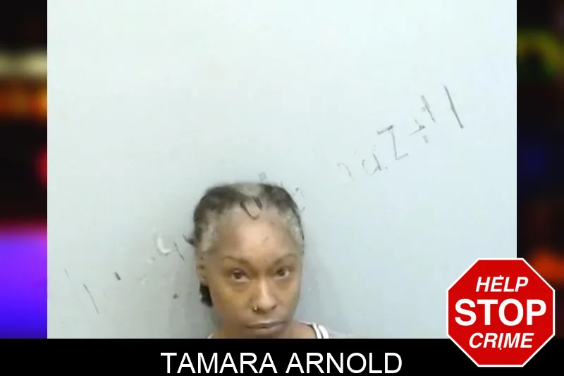 Tamara Arnold mugshot