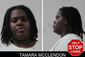 Tamara McClendon mugshot
