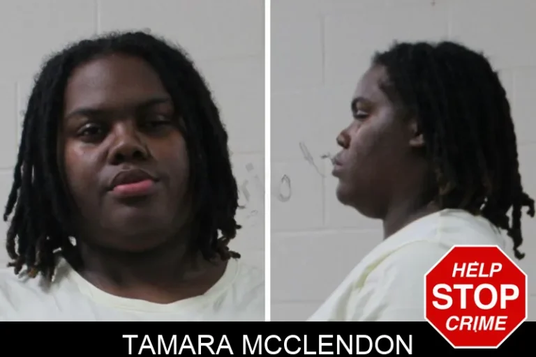 Tamara McClendon mugshot – Houston County , Georgia Tamara McClendon
