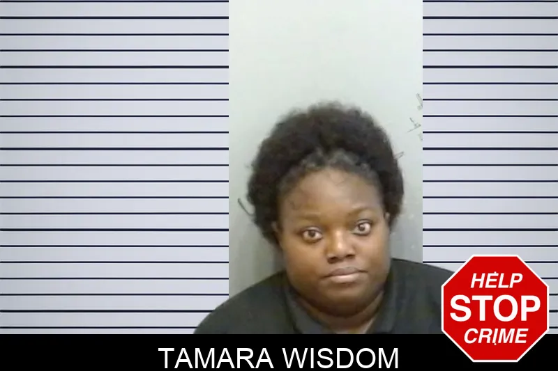 Tamara Wisdom mugshot – Fulton County , Georgia Tamara Wisdom mugshot