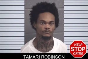Tamari Robinson mugshot