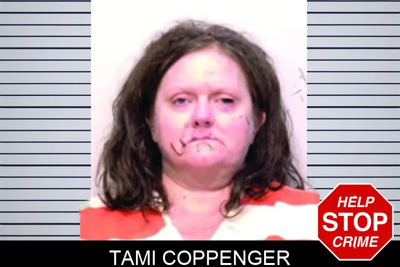 Tami Coppenger mugshot – Bartow County , Georgia Tami Coppenger mugshot