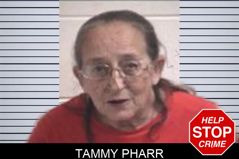 Tammy Pharr mugshot – Henry County , Georgia Tammy Pharr mugshot