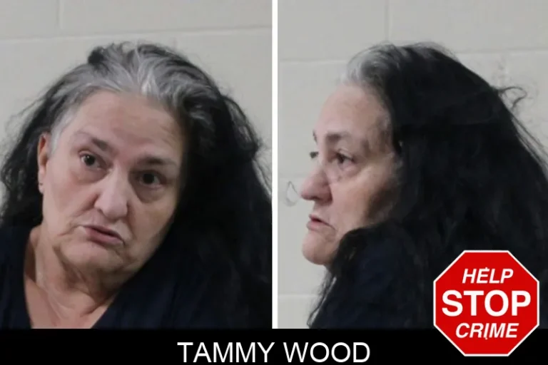 Tammy Wood mugshot – Houston County , Georgia Tammy Wood
