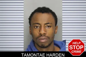 Tamontae Harden mugshot