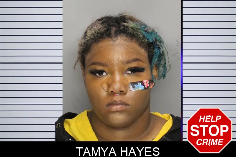 Tamya Hayes mugshot