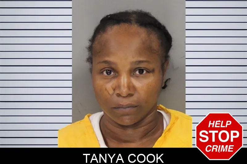 Tanya Cook Mugshots