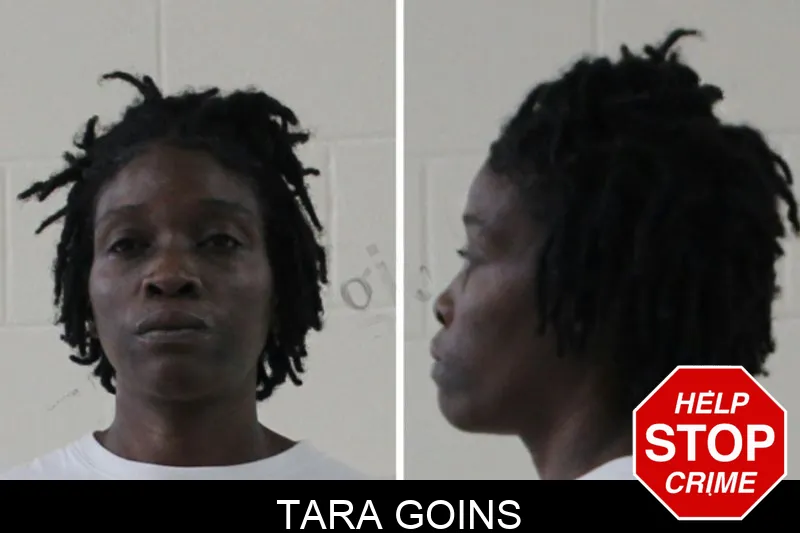Tara Goins Mugshots