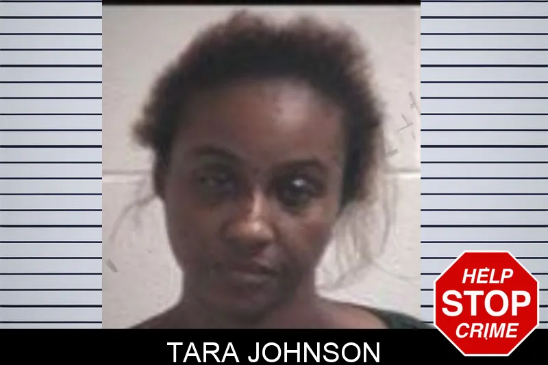 Tara Johnson mugshot – Henry County , Georgia Tara Johnson mugshot