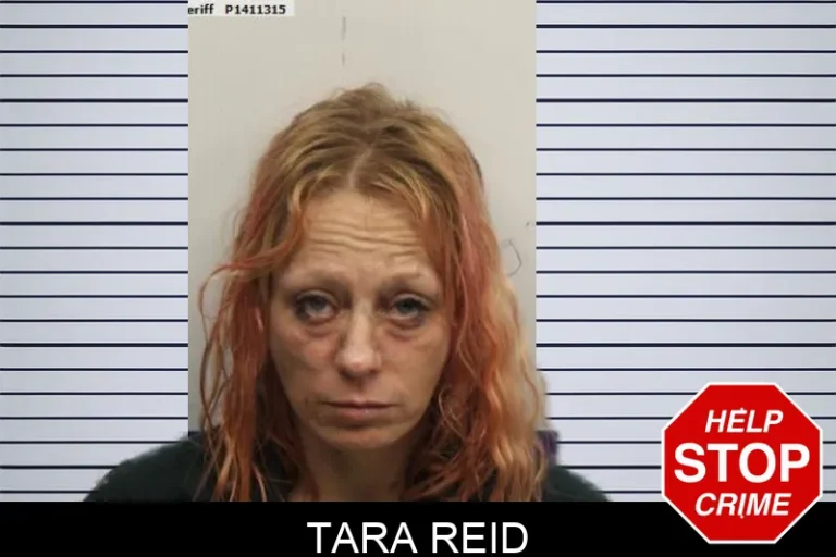 Tara Reid mugshot – Chatham County , Georgia Tara Reid