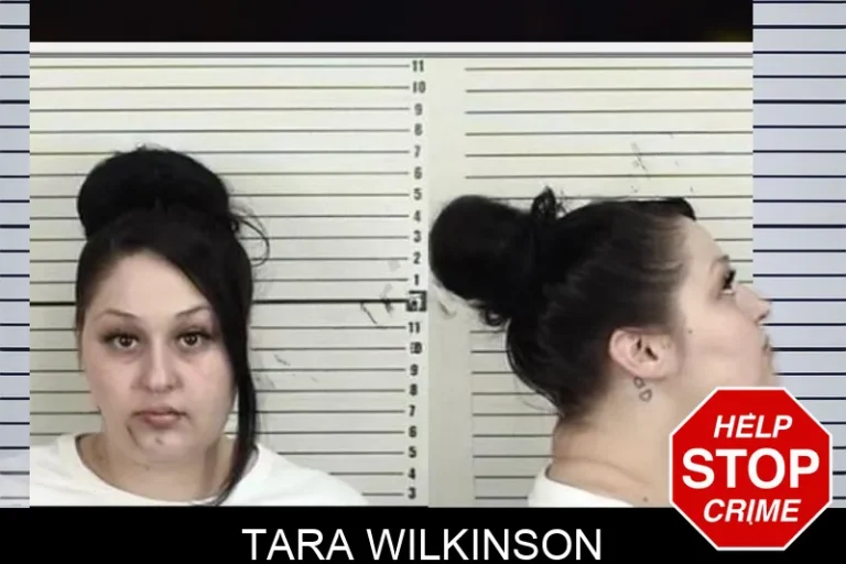 Tara Wilkinson mugshot – Camden County , Georgia Tara Wilkinson