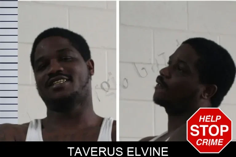 Taverus Elvine