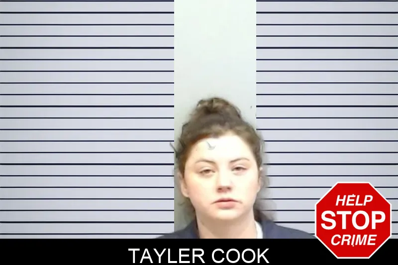 Tayler Cook mugshot