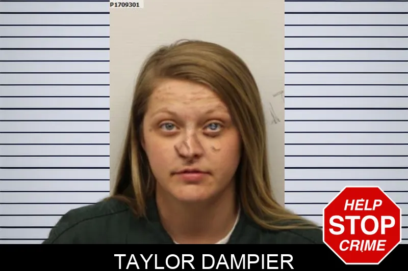 Taylor Dampier mugshot