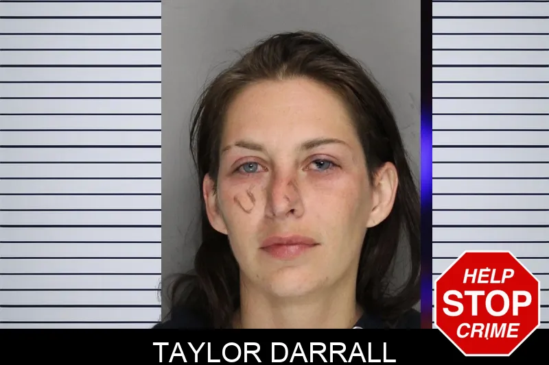 Taylor Darrall mugshot – Cobb County , Georgia Taylor Darrall mugshot