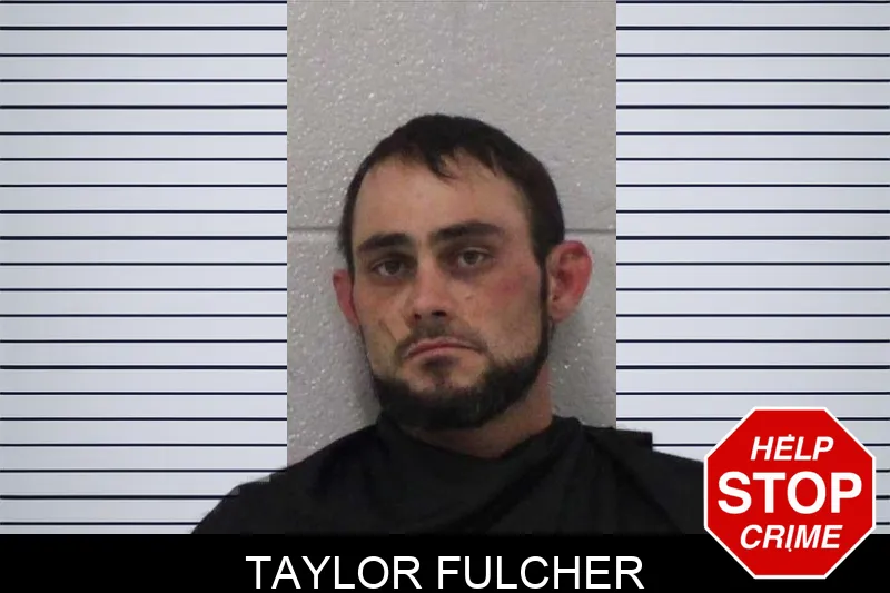 Taylor Fulcher mugshot