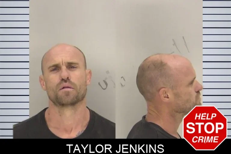 Taylor Jenkins