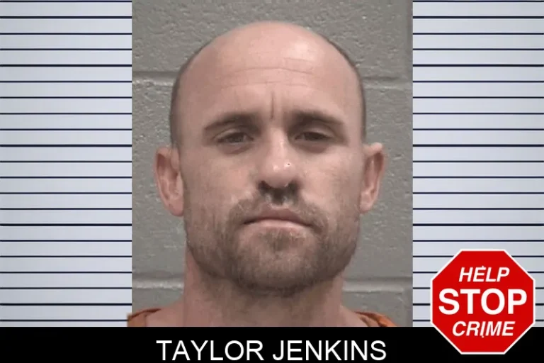 Taylor Jenkins