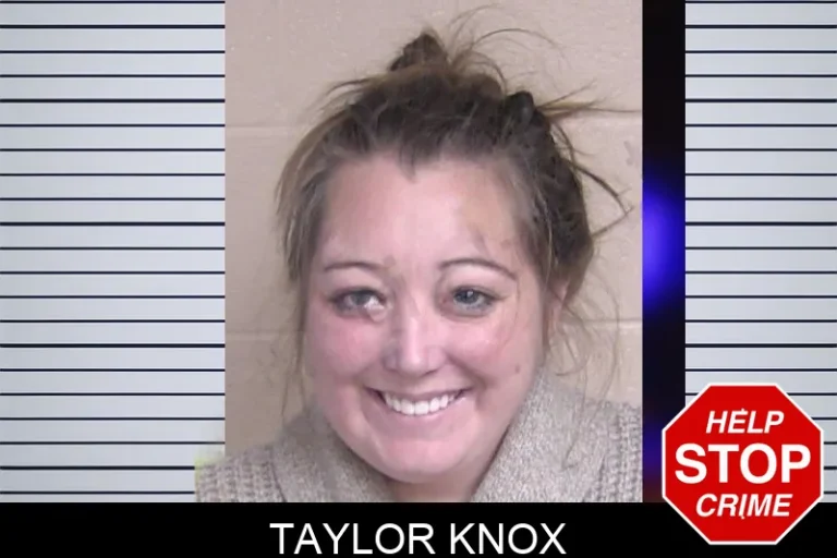 Taylor Knox