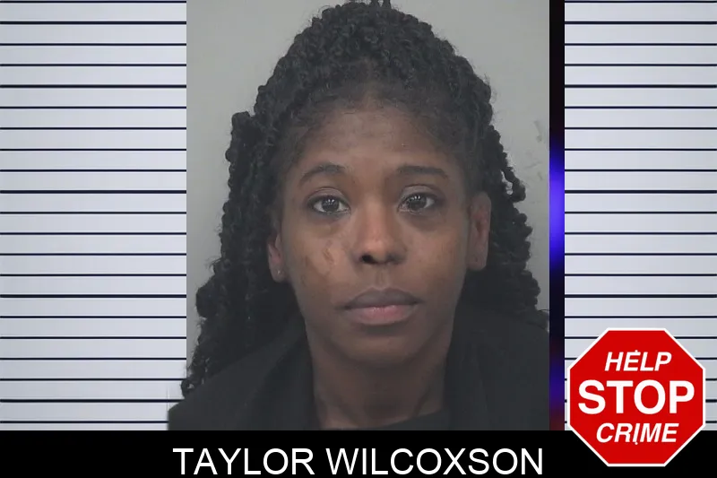 Taylor Wilcoxson mugshot