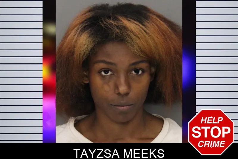 Tayzsa Meeks Mugshots