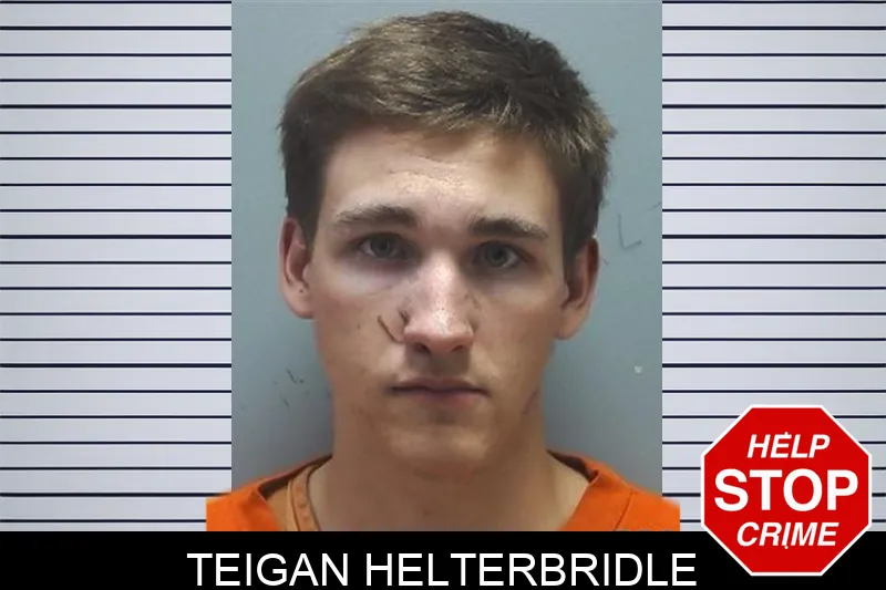 Teigan Helterbridle