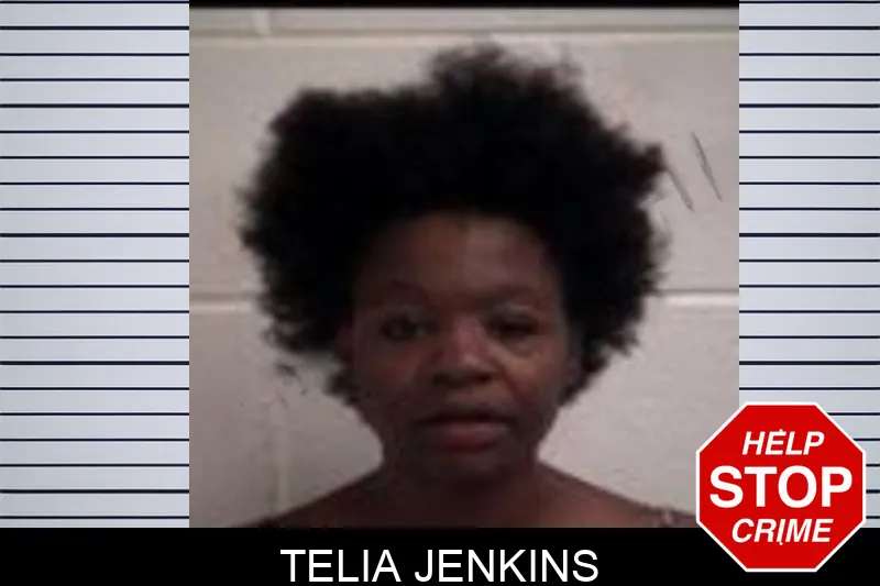 Telia Jenkins Mugshots