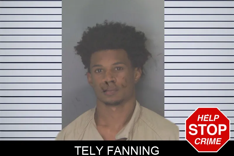 Tely Fanning mugshot – Douglas County , Georgia Tely Fanning mugshot