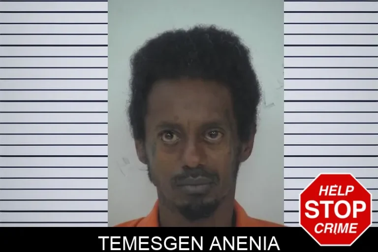 Temesgen Anenia