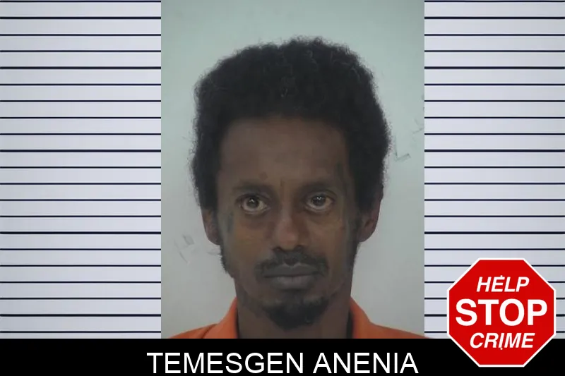 Temesgen Anenia Mugshots