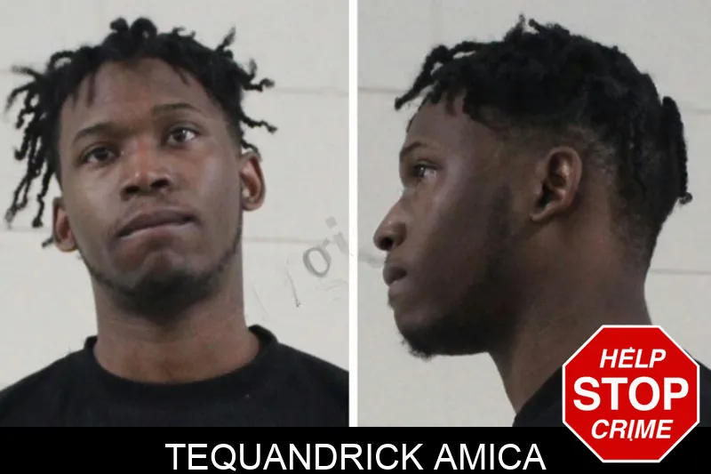 Tequandrick Amica Mugshots