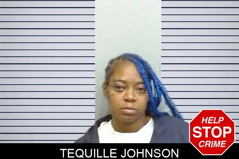 Tequille Johnson mugshot – Fulton County , Georgia Tequille Johnson mugshot