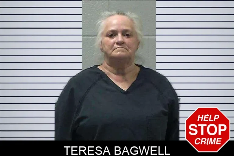 Teresa Bagwell mugshot – Gilmer County , Georgia Teresa Bagwell