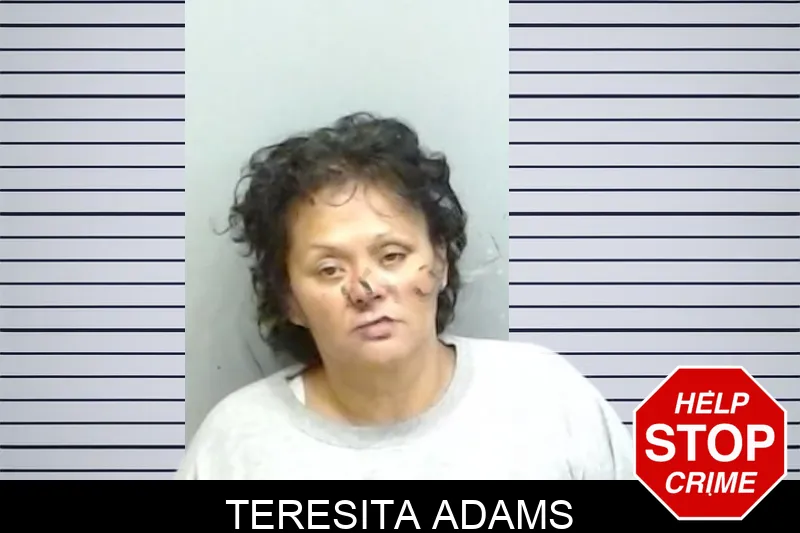 Teresita Adams mugshot