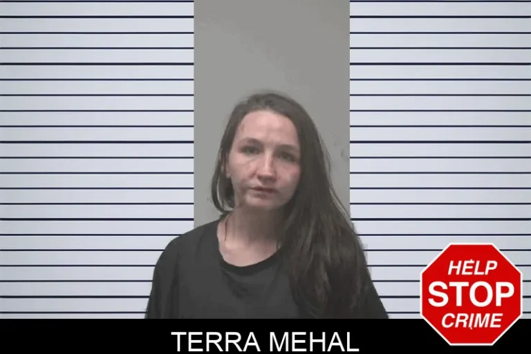 Terra Mehal
