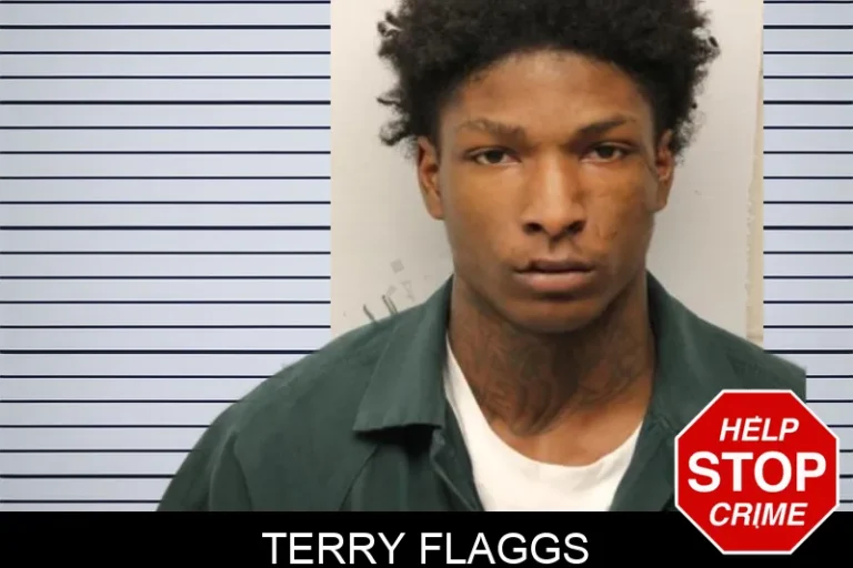 Terry Flaggs mugshot – Chatham County , Georgia Terry Flaggs