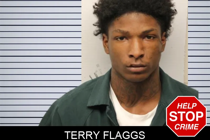 Terry Flaggs mugshot