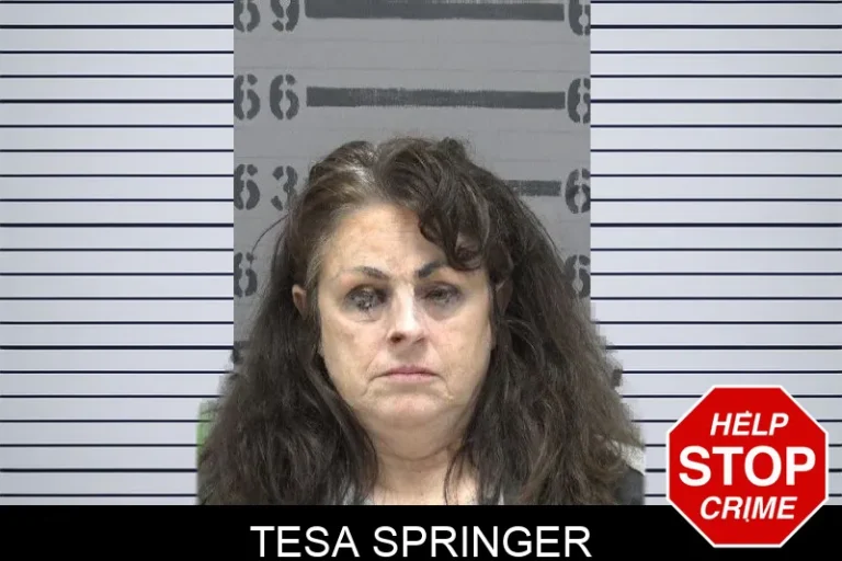 Tesa Springer