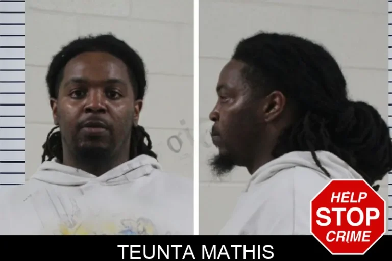 Teunta Mathis mugshot – Houston County , Georgia Teunta Mathis