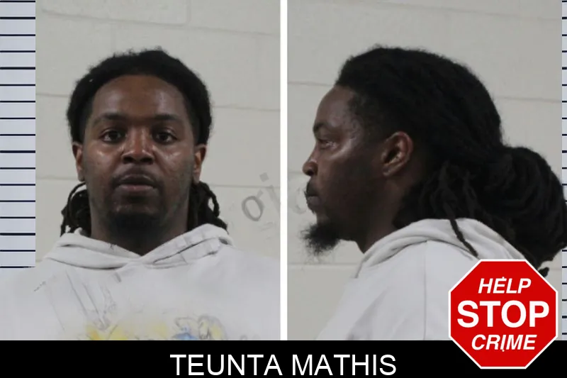 Teunta Mathis mugshot – Houston County , Georgia Teunta Mathis mugshot