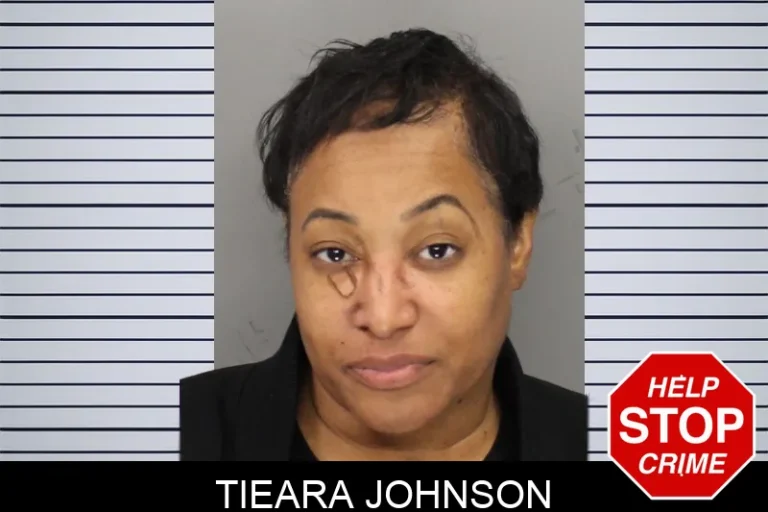 Tieara Johnson mugshot – Cobb County , Georgia Tieara Johnson