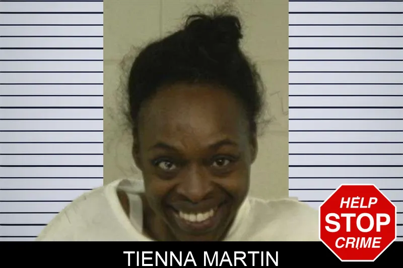 Tienna Martin Mugshots
