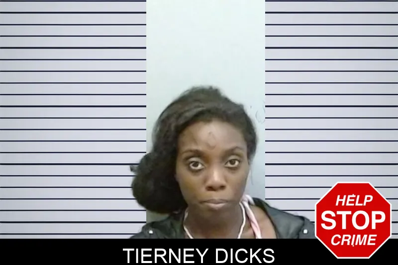 Tierney Dicks mugshot