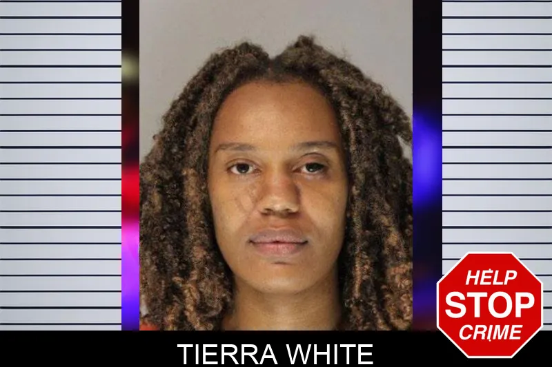 Tierra White Mugshots